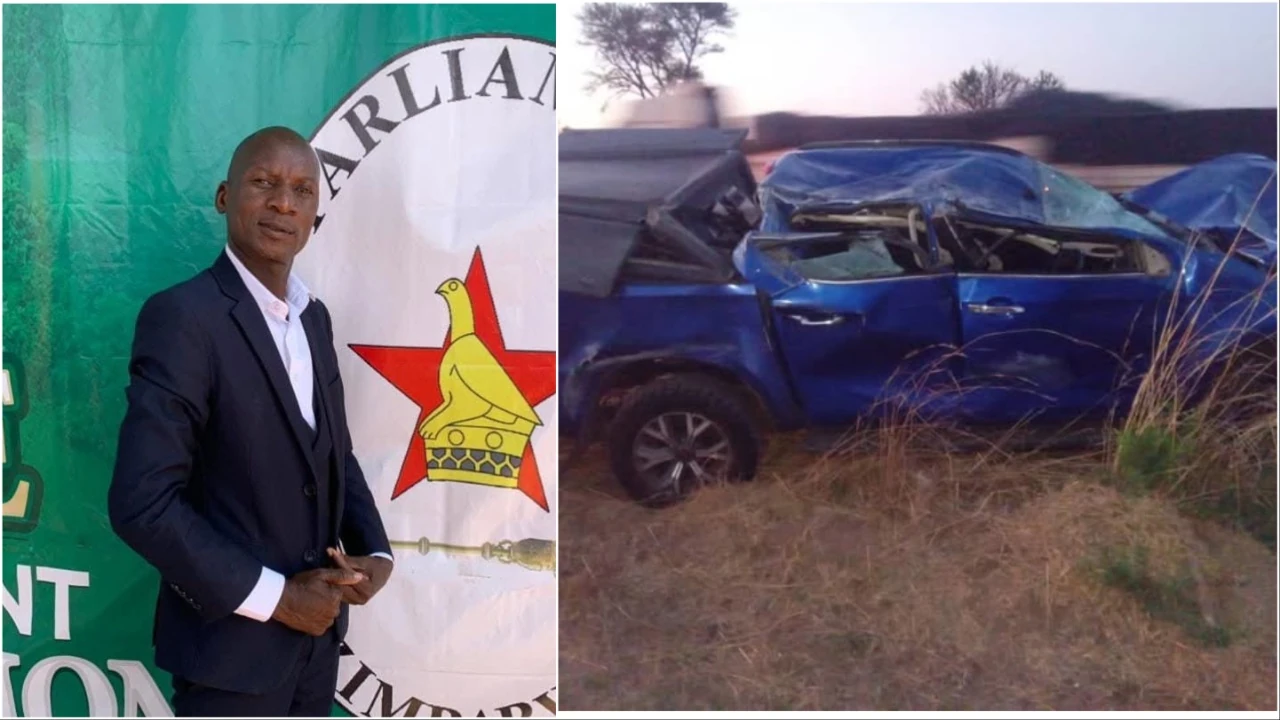 BREAKING: Nkulumane MP dies in elephant accident