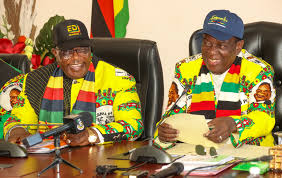 ED’s Using Wrong Test Kits To Measure Chiwenga’s Power
