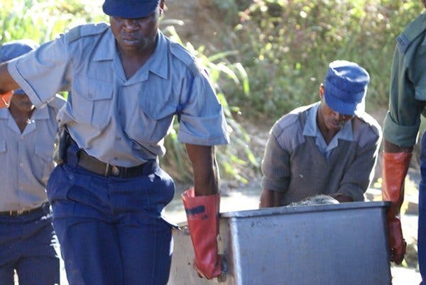 Beitbridge Husband Kills Wife In Front Of Her Relatives For Trying To Divorce Him