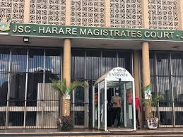 Harare Hairdresser Sues City Council for US$24K Over Unmarked Drain Accident