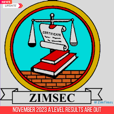 Parent Drags ZIMSEC to Court Over O-Level Subject Cap, Seeks Right for Son to Sit 12 Subjects