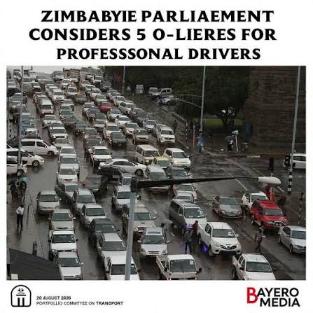 Zimbabwe Drivers Push for Professional Recognition as Parliament Considers Regulation