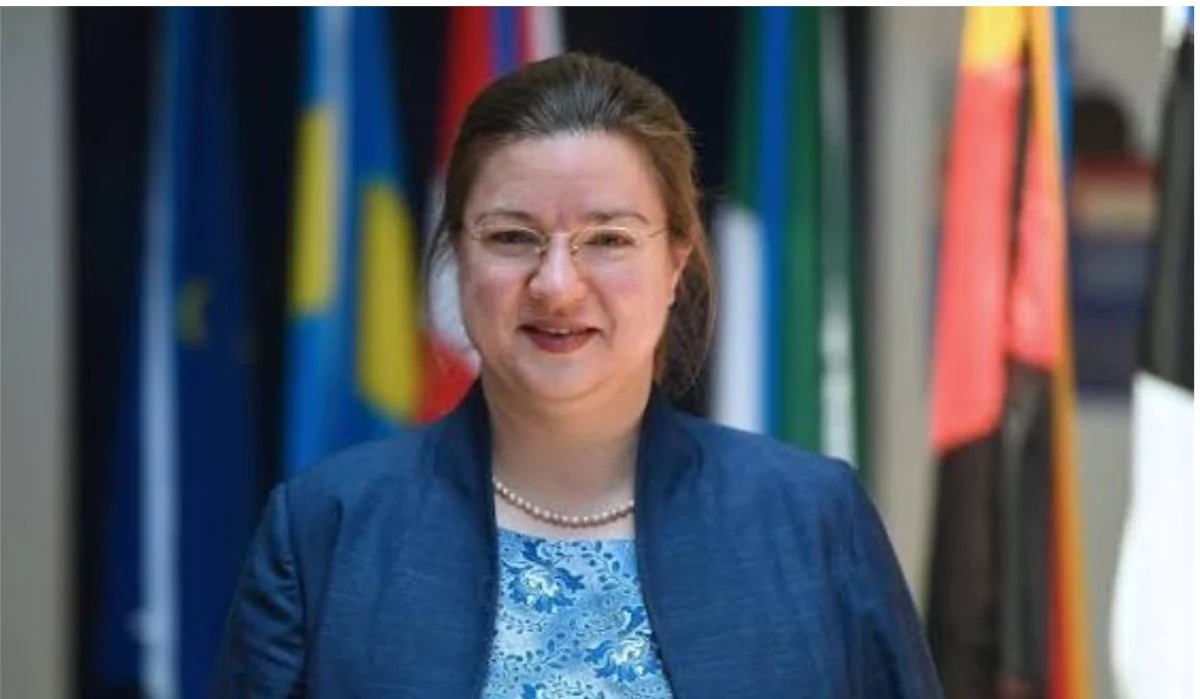 EU Zimbabwe Ambassador Katrin Hagemann Dies At 53