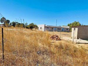 No Regularisation For Illegal Settlers As Government Declares War On ‘Sabhuku Deals’