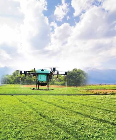 Mash Central surpasses wheat target, records 5.5t per hectare average yield