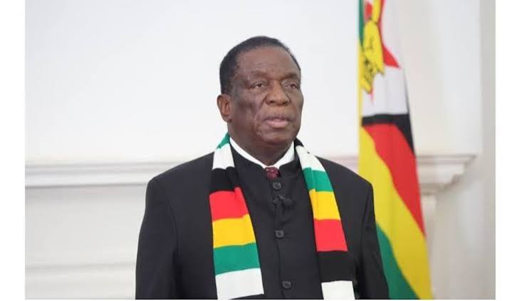 Zimbabwe Grants Gun Amnesty, Gives Owners Until November 12 to Surrender Illegal Firearms